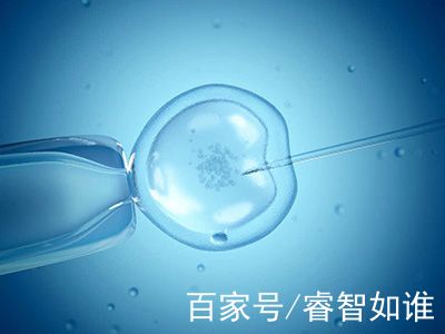 实验室2